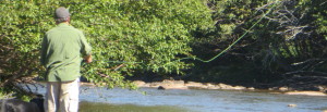 Fisherman casting on the Laramie river.